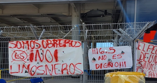 Foto: Fernanda Potenciano