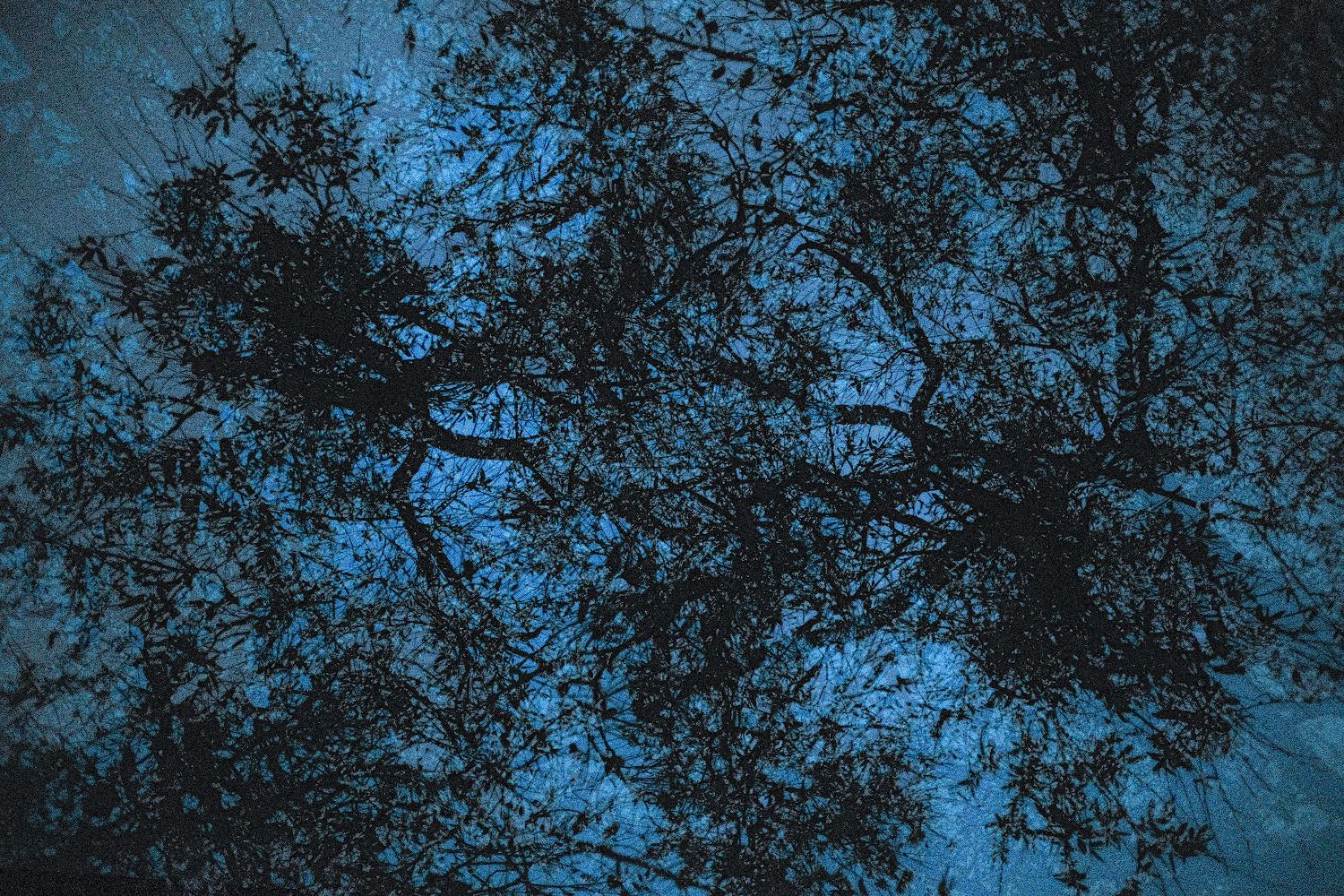 Todos los colores del mar