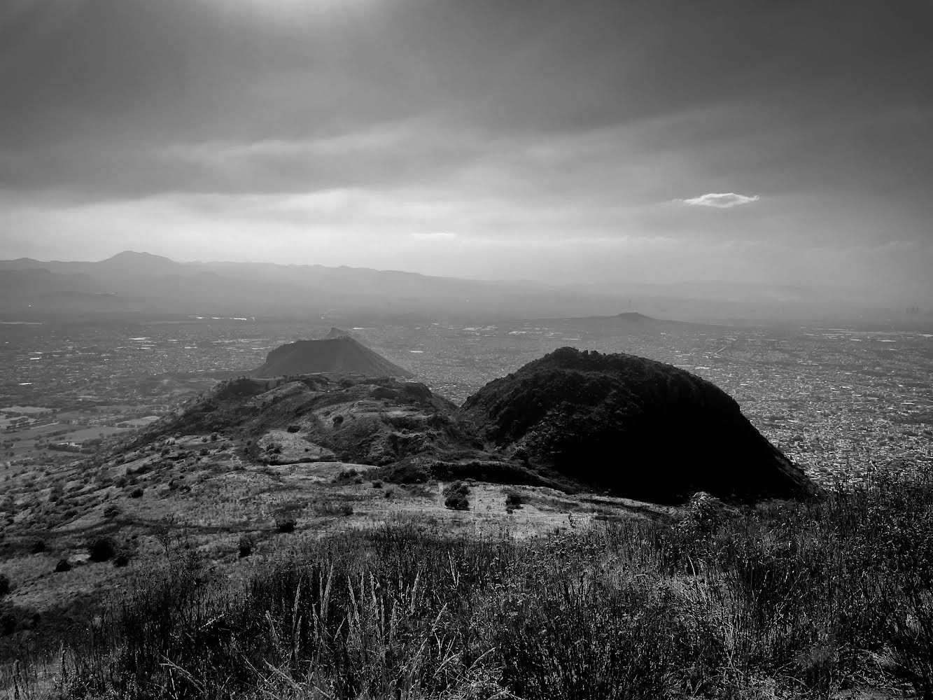 Bosque de espejos