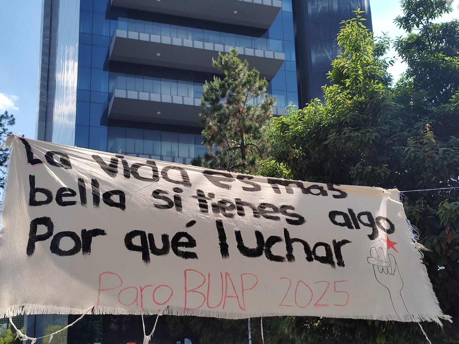 El injustificable voto sectorial en la BUAP